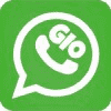 1710738989_GioWhatsApp.png